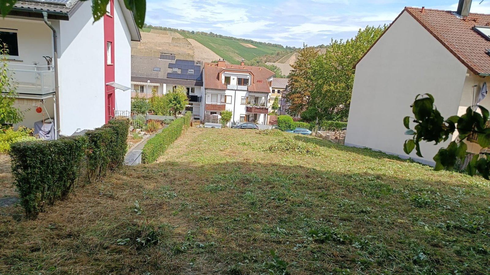 Gewerbliche Außenanlagenbetreuung